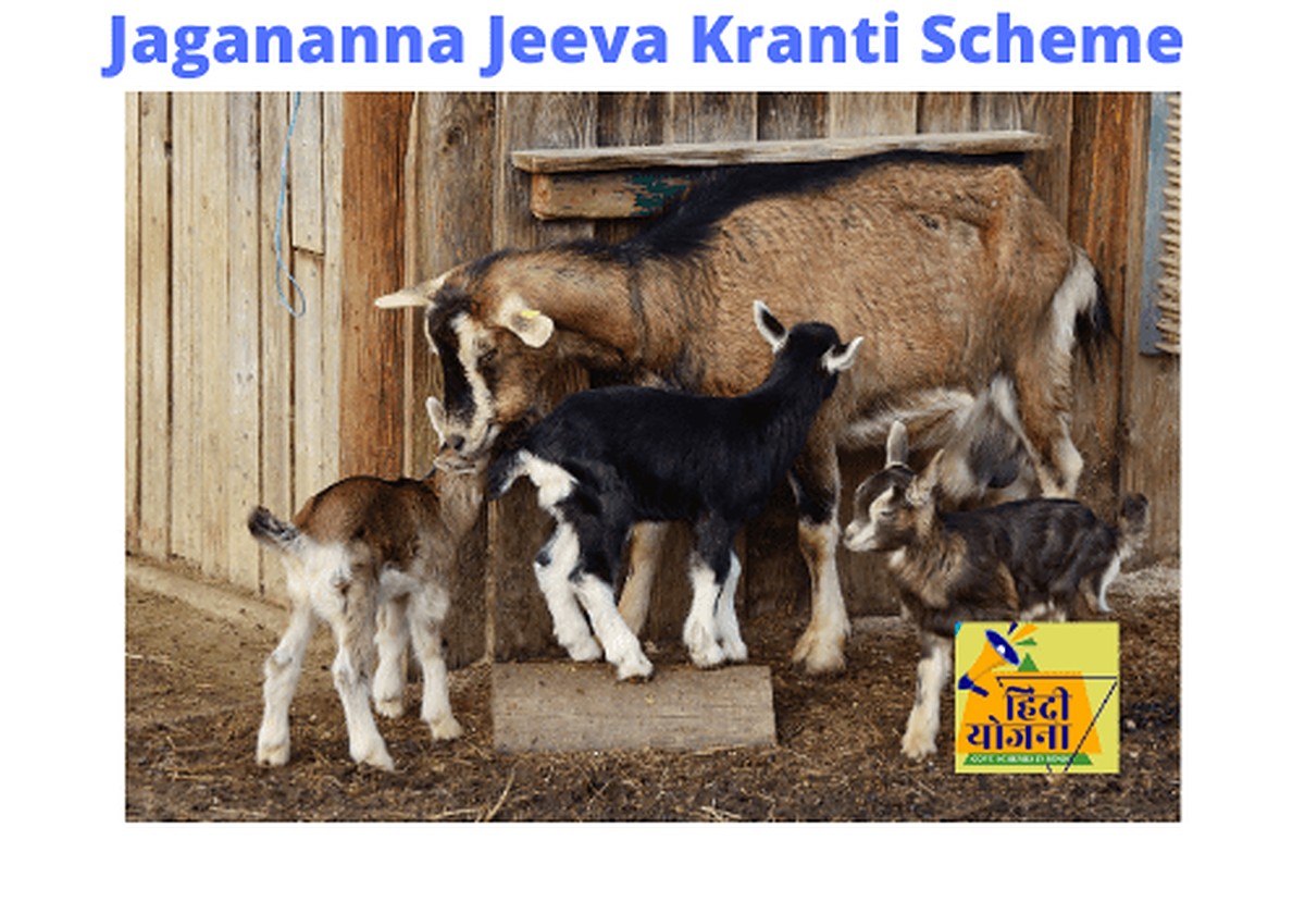 AP YSR Jagananna Jeeva Kranti Scheme