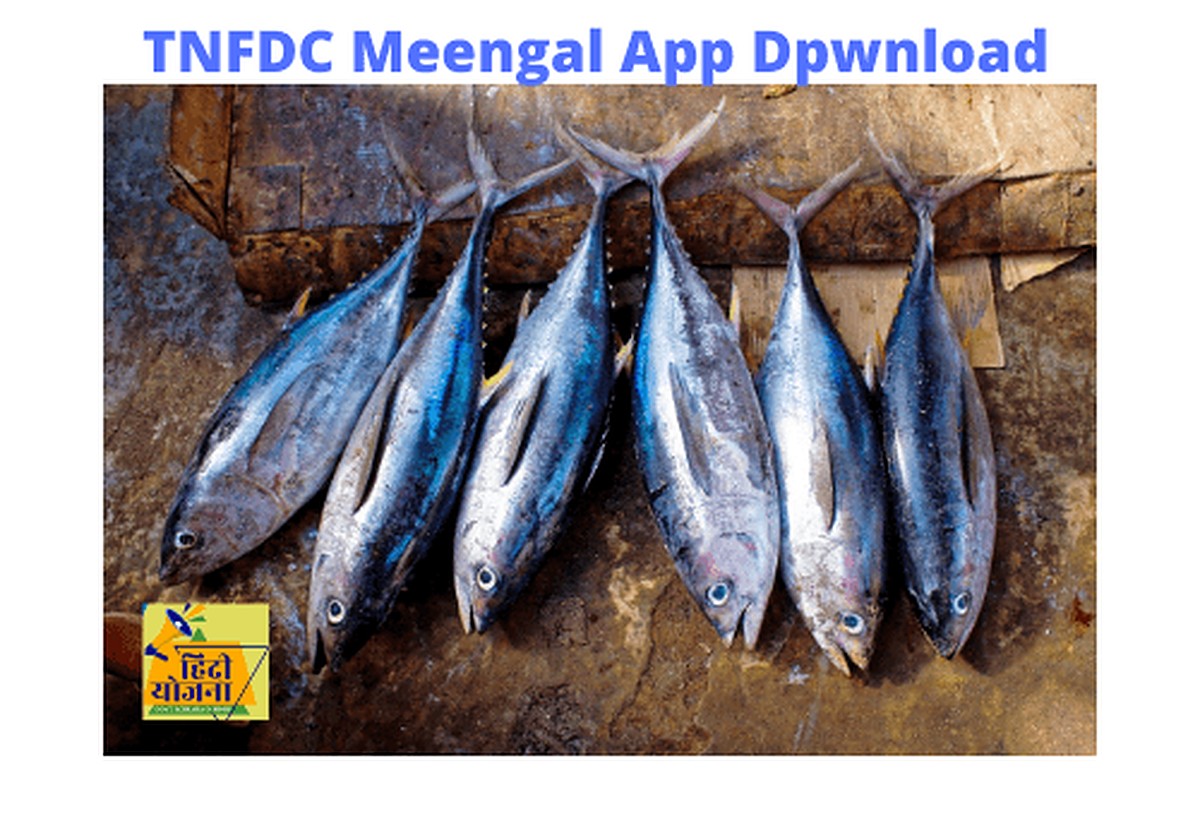TNFDC Meengal App Download