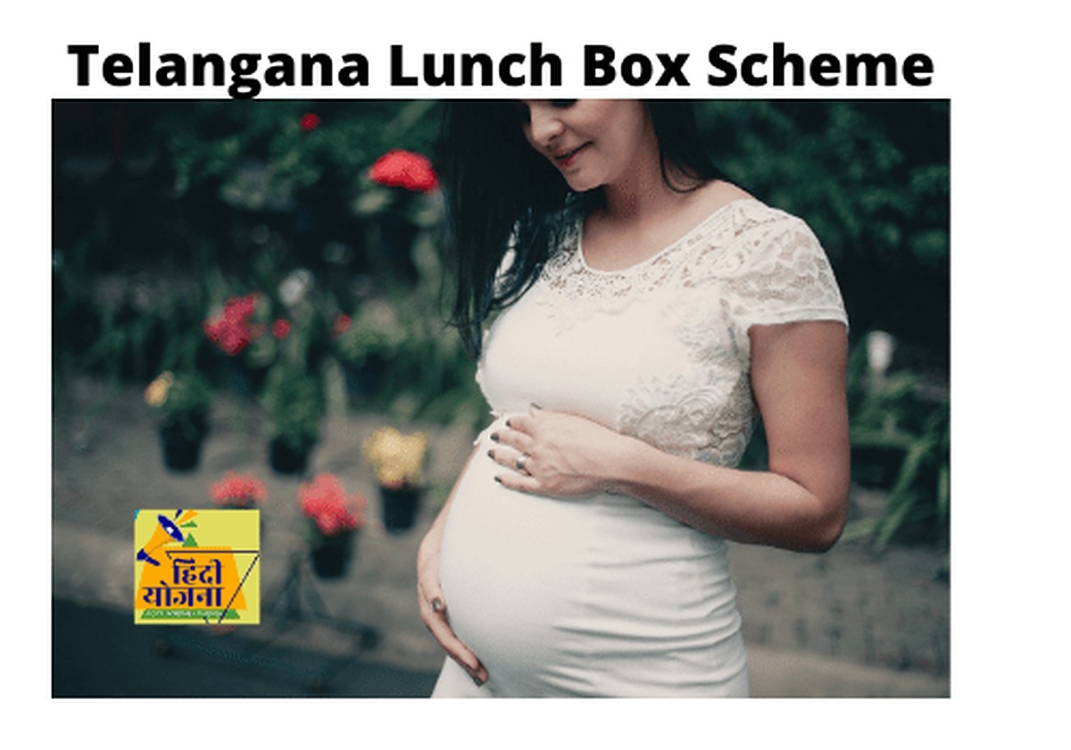 Telangana Lunch Box Scheme 2021