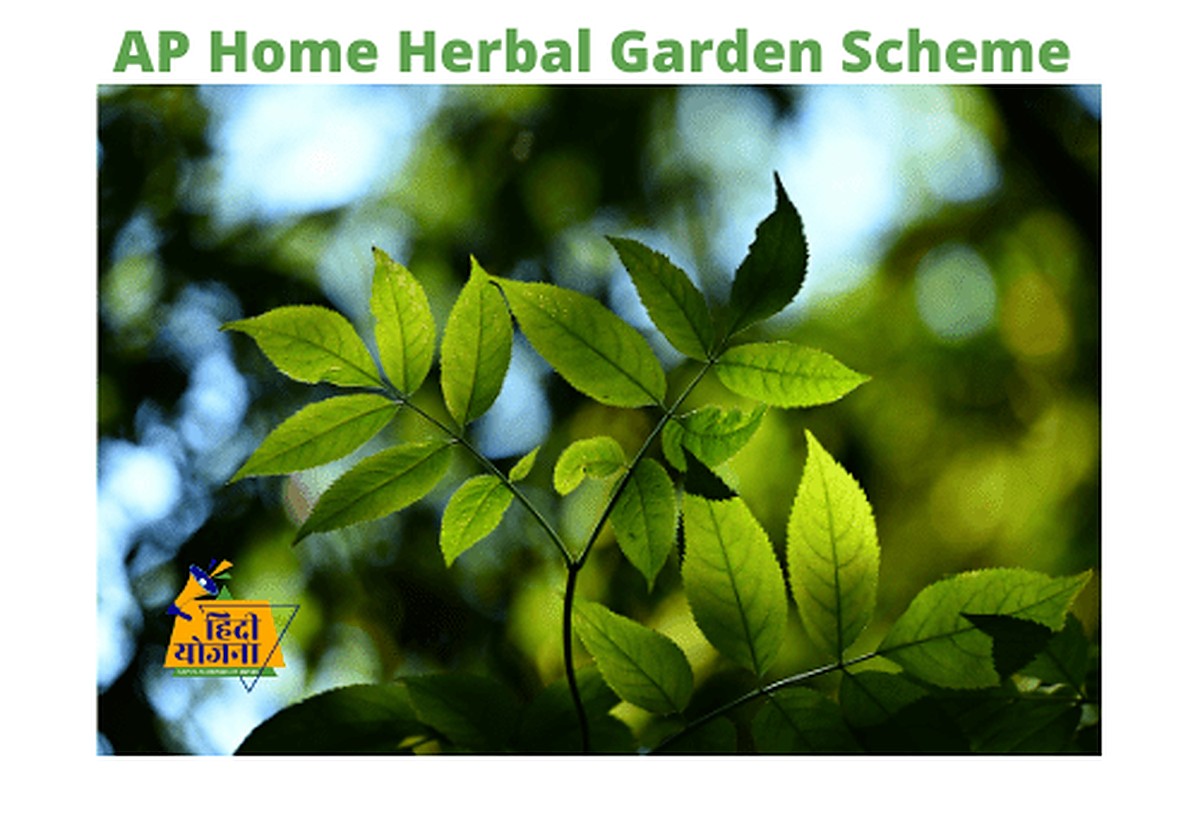 AP Home Herbal Garden Scheme 2021