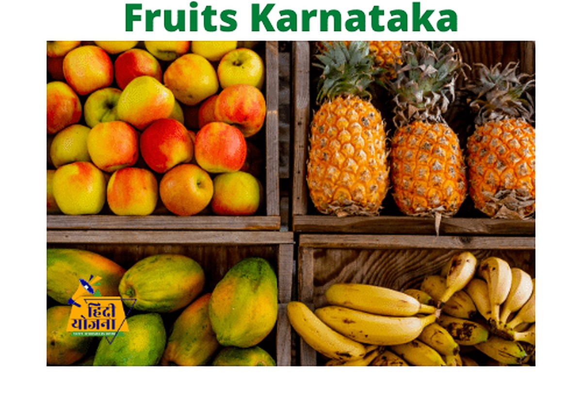 Fruits Karnataka