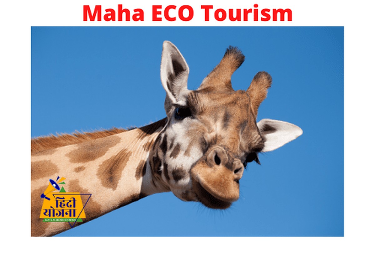 Maha ECO Tourism