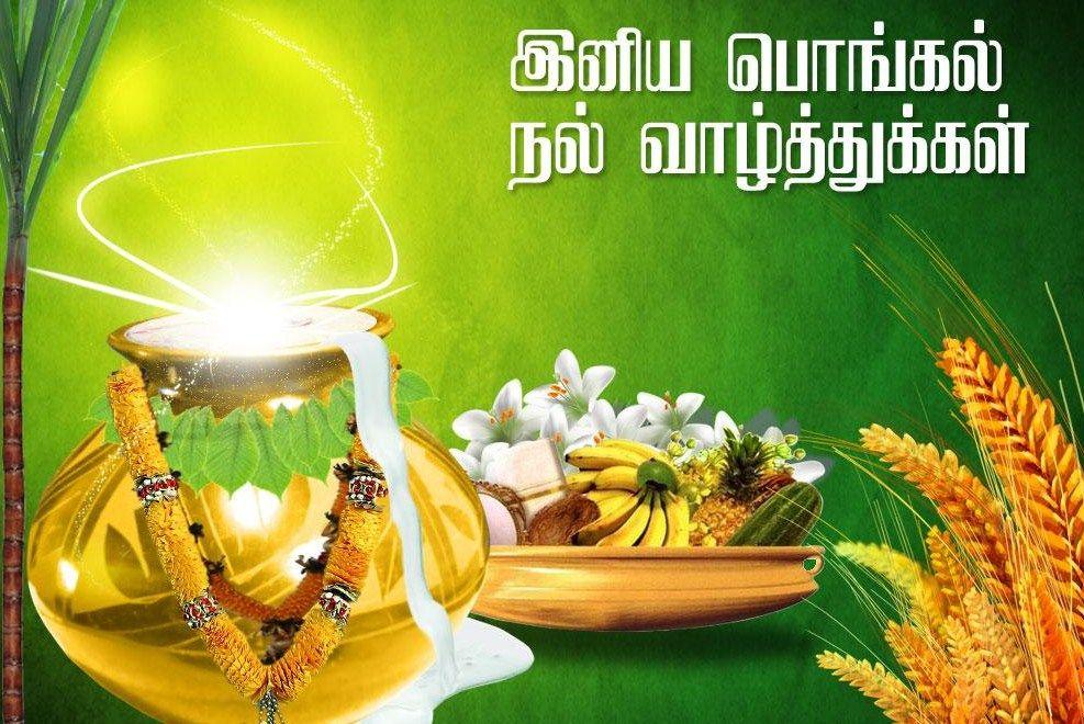 Happy Pongal 2021 Wishes Tamil
