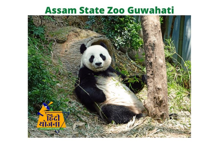 Assam State Zoo Guwahati Online Ticket Booking 2021
